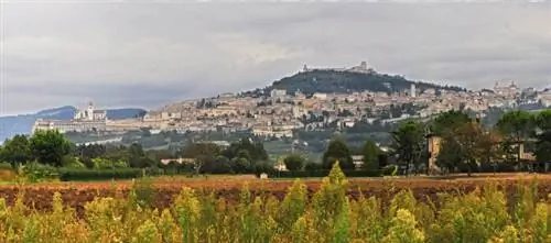 Прежде чем уйти, я сделал этот широкий панорамный снимок, показывающий весь город Ассизи на вершине холма.