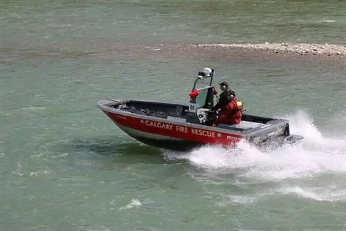 Катание на лодке по реке Боу, фотография через Wikimedia cc.