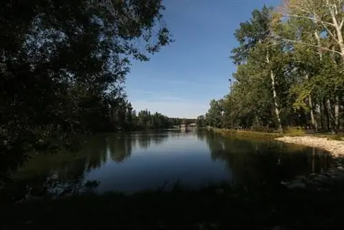 Боунесс-Парк в Калгари, автор: davebloggs007, Wikimedia cc.