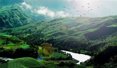 Провинция Кирино: счастье в корзине