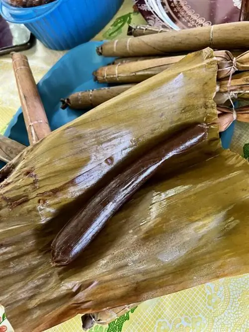 Патулакан