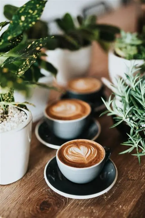 Кафе Натана Думлао через Unsplash Кафе Натана Думлао через Unsplash