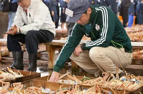 Фотография Крабового рынка через VisitKinosaki Фотография Крабового рынка через VisitKinosaki