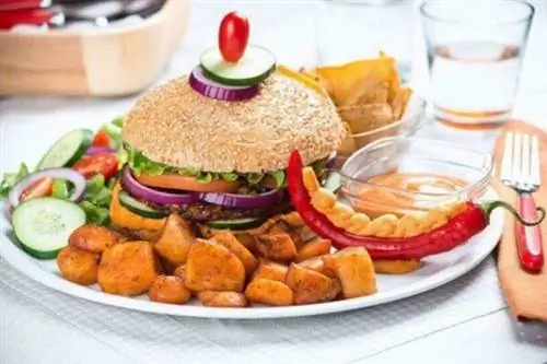 Вегетарианский бургер Universo Vegano