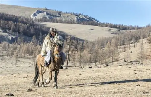 Монгольский мужчина в куртке из волчьей шкуры верхом на лошади в степи северной Монголии. Фото через Depositphotos