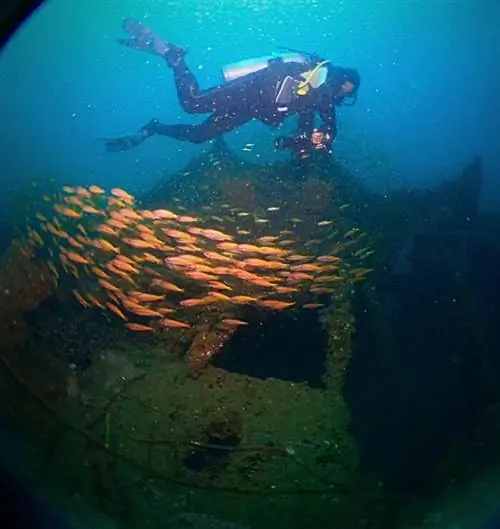 Дайвинг на затонувшие корабли в Лабуане, фото со страницы Dive Labuan на Facebook