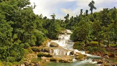 Эко-парк Aliwagwag Falls, автор Edge Genciagan, Flickr cc.