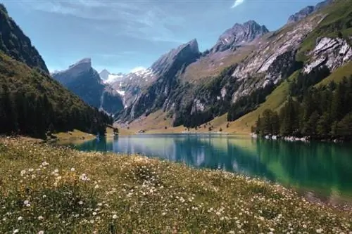 Зеальпзее, Аппенцелль, Швейцария, автор Паскаль Дебраннер через Unsplash Зеальпзее, Аппенцелль, Швейцария, автор Паскаль Дебраннер через Unsplash