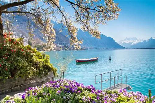 Топ-10 лучших развлечений в Женеве, Швейцария