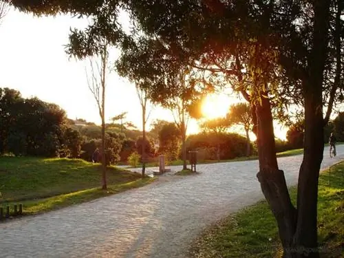 Parque da Cidade do Porto, автор RuiMMSousa, Wikipedia CC Parque da Cidade do Porto, автор RuiMMSousa, Wikipedia CC