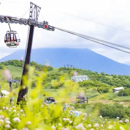 Фотография летней гондолы Нисеко со страницы Niseko Tourism FB Фотография летней гондолы Нисеко со страницы Niseko Tourism FB