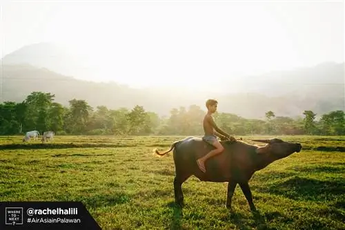 Внимание, длинные выходные! Дворец Малакананг объявил 26 декабря и 2 января особыми нерабочими днями
