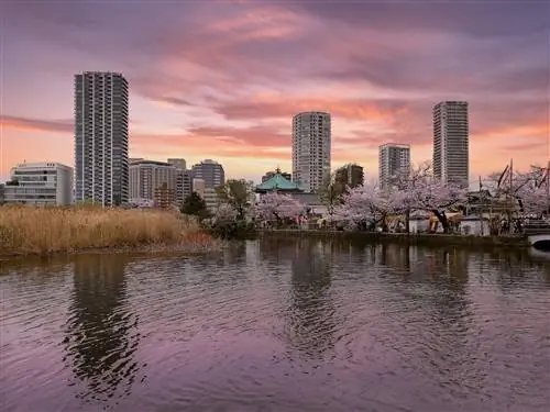 15 лучших развлечений в городе Тайто, Япония