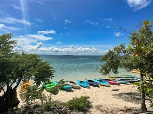 Это был прекрасный день для катания на каяках