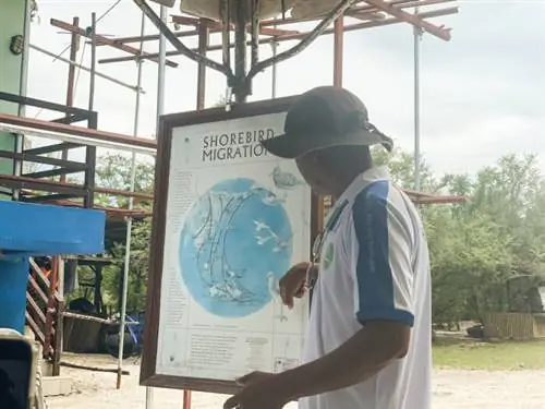 Цены на заповедник дикой природы острова Оланго: лагерь всего за 100 песо!