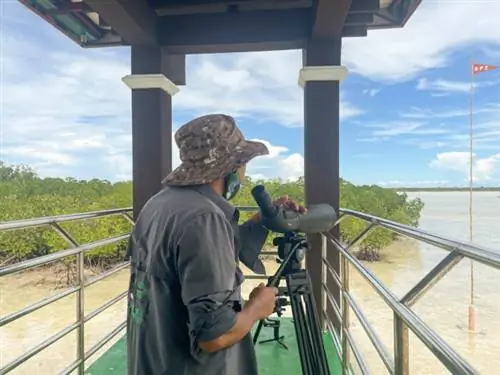 Местный специалист по птицам осмотрел некоторых птиц и после показал нам.