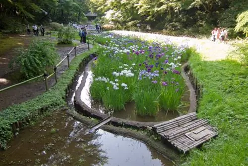 Внутренний сад Мэйдзи Дзингу, автор: 1421 рупий, Wikimedia cc.