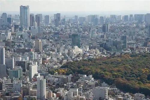 Парк Ёёги из обсерватории TMG, автор KimonBerlin, Wikimedia cc.