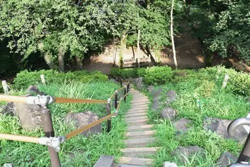 Парк Тояма, автор Маварунэко, Wikimedia cc.