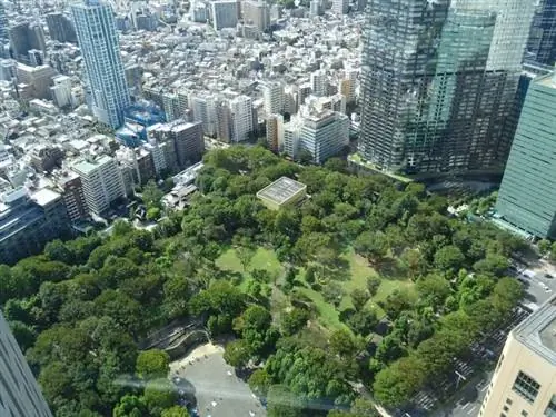 Центральный парк Синдзюку, автор Christophe95, Wikimedia cc.