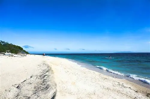 15 лучших пляжей на Бохоле (фото + как туда добраться)