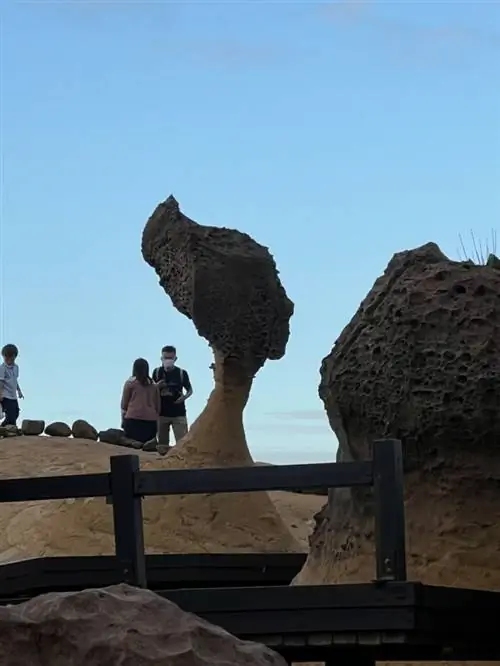 Голова королевы