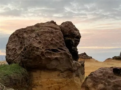 Горилла Рок