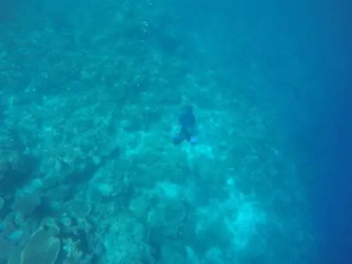 мастер на все руки