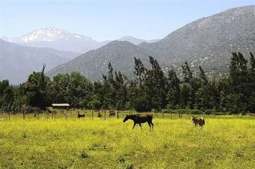 Долина Майпо, автор LBM1948, Wikimedia cc.