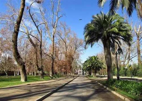 Парк Quinta Normal, автор: Фелипе Рестрепо Акоста, Wikimedia cc.