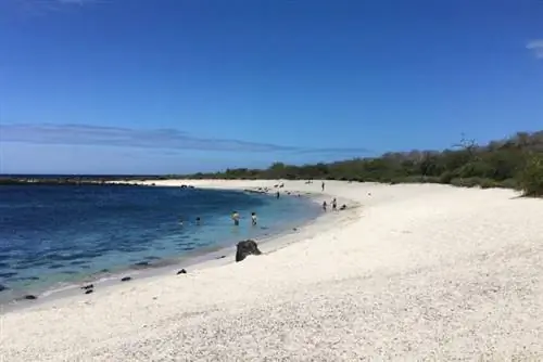 Плайя Пунта Карола на Галапагосах
