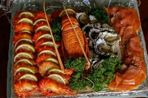 Морепродукты Австралии
