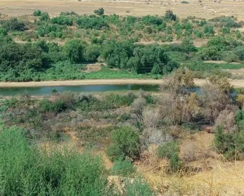 Панорама-парк в Бейкерсфилде