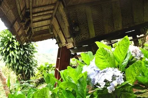Размещение в отеле Native Village Inn & Restaurant