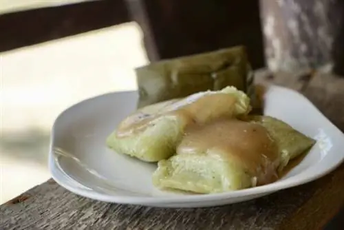 Латик