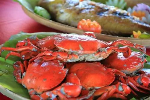 Свежие морепродукты