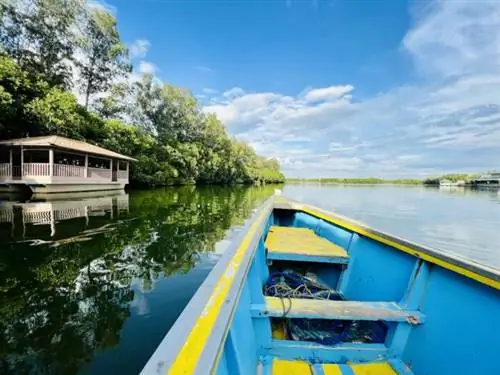 Круиз по реке Давел в Дагупане