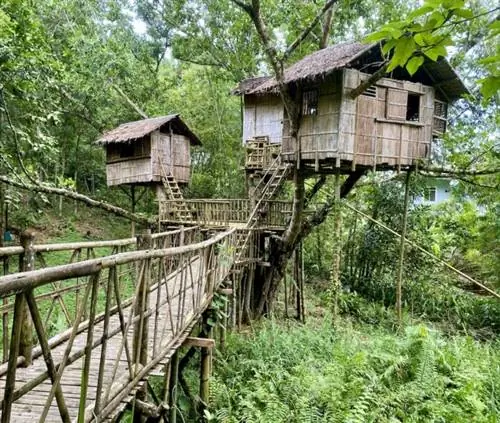 Домики на деревьях в экологическом парке и культурной деревне Капис