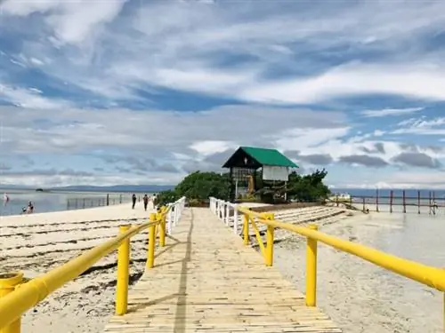 Виргинский остров на Бохоле