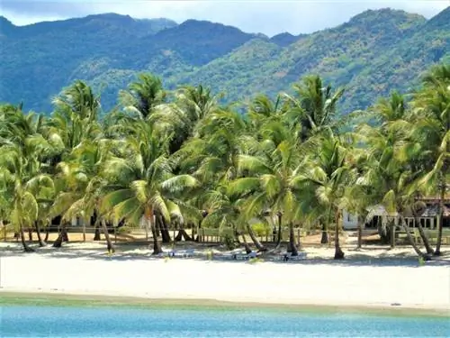 Фото Phaidon Beach Resort со страницы FB