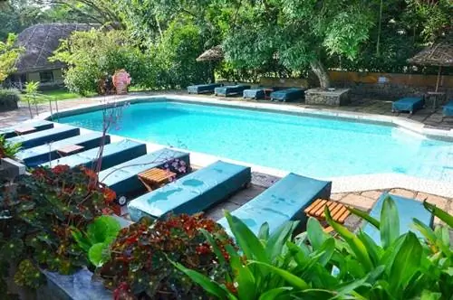 Бассейн курортного отеля Spice Village