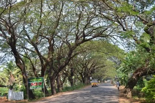 Дороги в Керале