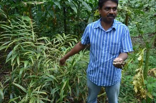 Плантация специй в Перияре