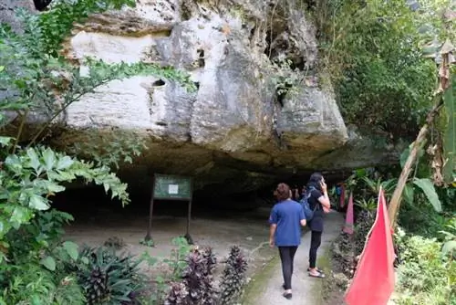 Пещера Саоб в Бэйси