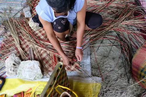 Банигские ткачи из Бэйси