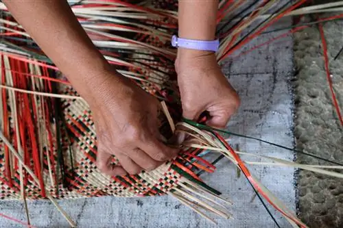 Ткачи Баниг в пещере Саоб в Бейси, Самар