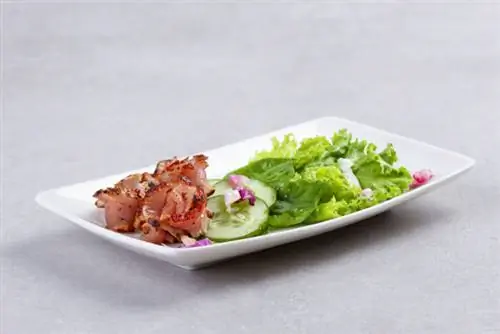 Салат «Татаки» с тунцом - обжаренный тунец с салатом ромэн, рукколой, японским огурцом и цедрой лимона в соусе из чесночных трав.