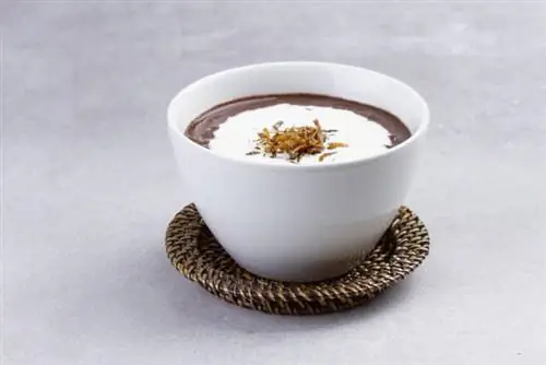 Адлай Чампорадо - классическое филиппинское блюдо, подается с хрустящим дулонгом со сливками.