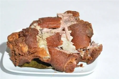 Хрустящая пата в Tito Rad's Grill, Нью-Йорк