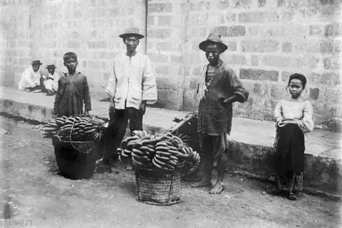 Филиппинские китайские уличные торговцы бананами, около 1900-х годов.